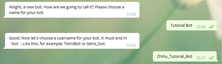 全网最基础的创建telegram bot的教程(图9)